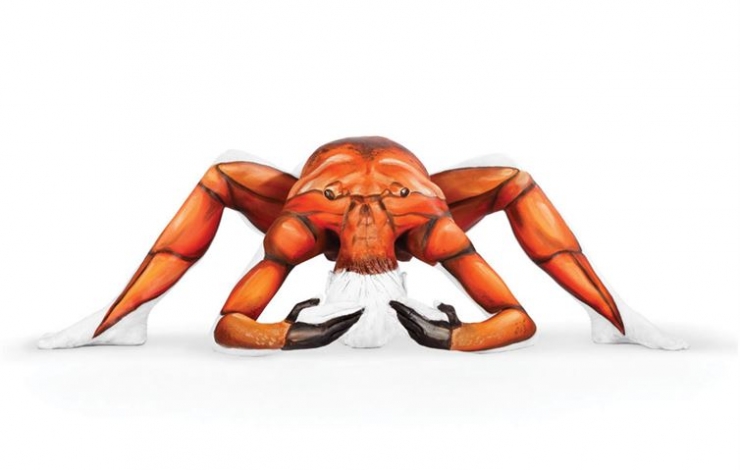 Illustration de l'article : Quand body-painting et contorsionnisme se rencontrent : 17 oeuvres signées Emma Fay