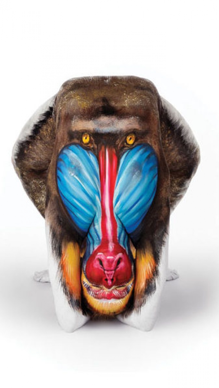 Illustration de l'article : Quand body-painting et contorsionnisme se rencontrent : 17 oeuvres signées Emma Fay