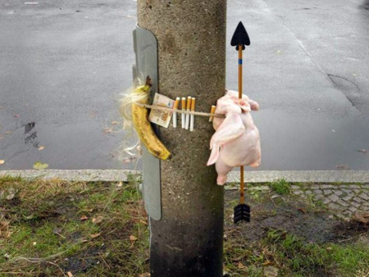 Illustration de l'article : La sélection de photos WTF du jour : 19 insaisissables délires