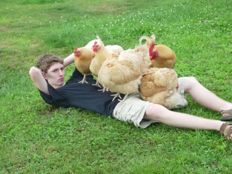 Illustration de l'article : La sélection de photos WTF du jour : 19 insaisissables délires