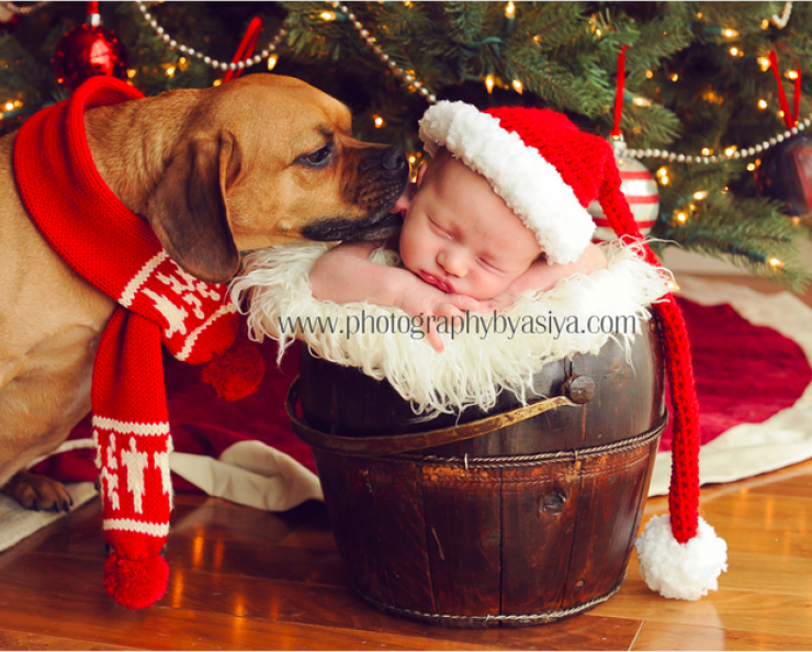 Illustration de l'article : Noël arrive à grands pas, l'occasion de découvrir ces 29 bébés parfaitement dans l'esprit de cette fête!