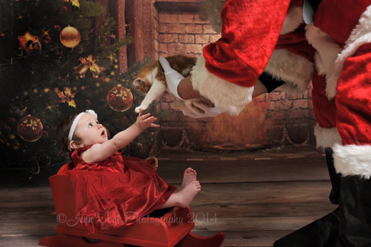 Illustration de l'article : Noël arrive à grands pas, l'occasion de découvrir ces 29 bébés parfaitement dans l'esprit de cette fête!