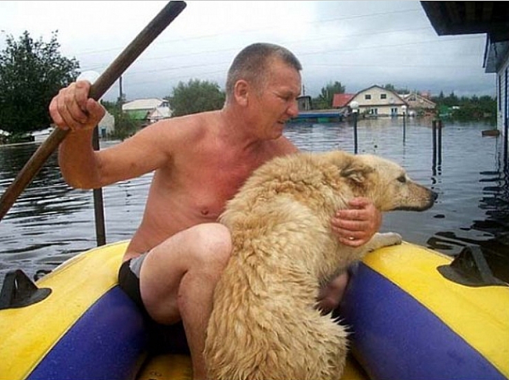 Illustration de l'article : Admirable et émouvante, l'histoire de ce chien dont la loyauté n'a pas d'égal