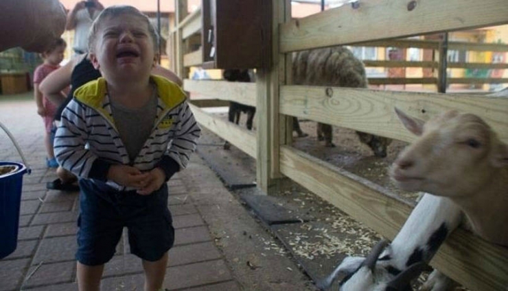 Illustration de l'article : 21 photos d'enfants qui pleurent pour des motifs qu'ils sont les seuls à comprendre!