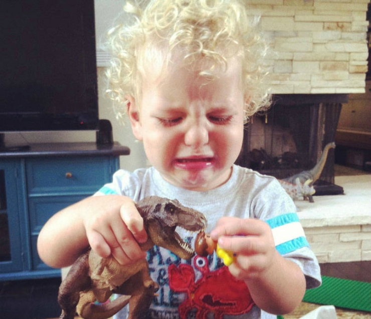 Illustration de l'article : 21 photos d'enfants qui pleurent pour des motifs qu'ils sont les seuls à comprendre!