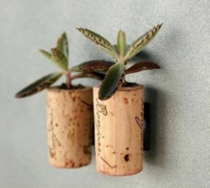 Illustration de l'article : Astuce: 10 objets que vous pouvez recycler et transformer en jolis vases pour vos plantes