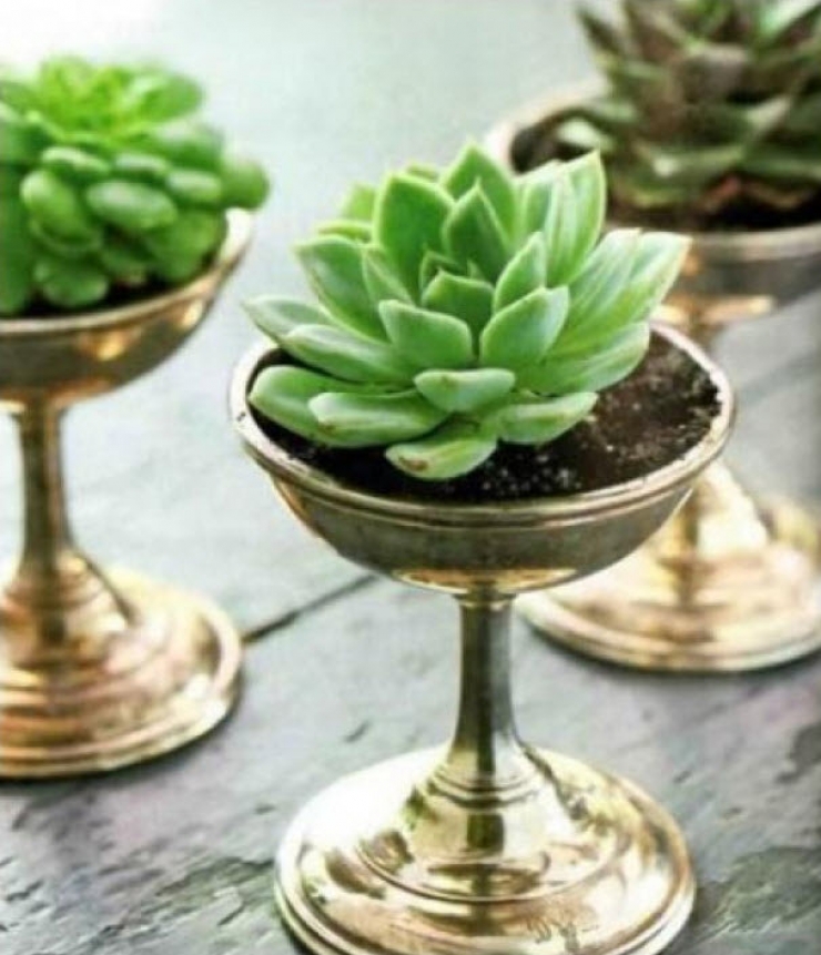 Illustration de l'article : Astuce: 10 objets que vous pouvez recycler et transformer en jolis vases pour vos plantes