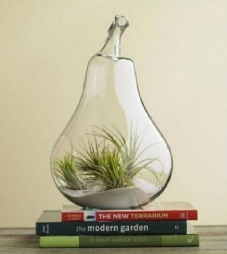Illustration de l'article : Astuce: 10 objets que vous pouvez recycler et transformer en jolis vases pour vos plantes