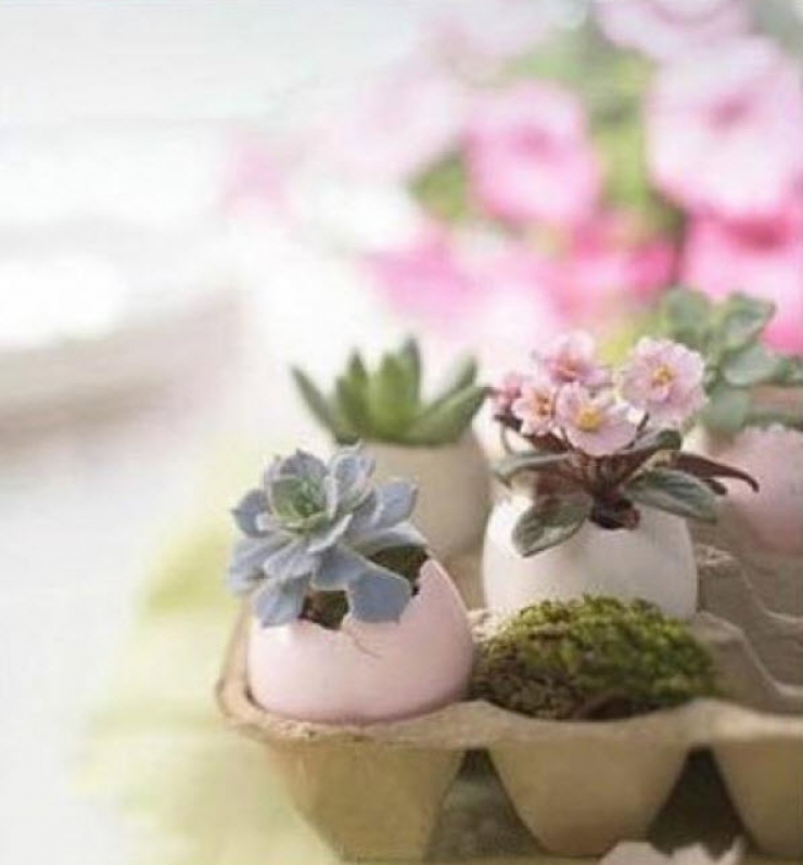 Illustration de l'article : Astuce: 10 objets que vous pouvez recycler et transformer en jolis vases pour vos plantes