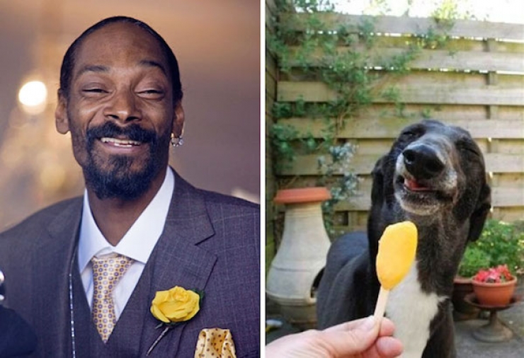 Illustration de l'article : 28 sosies hilarants et inattendus mais pourtant tellement ressemblant!