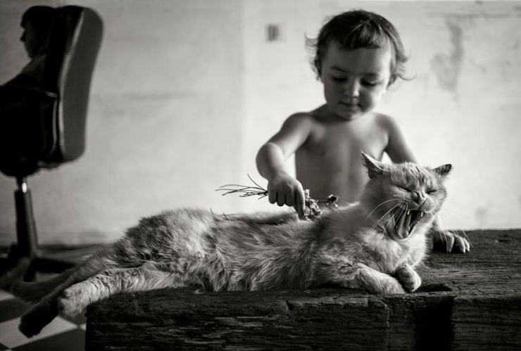 Illustration de l'article : Les plus beaux moments de complicité entre des chats et des enfants immortalisés à travers 18 sublimes photos