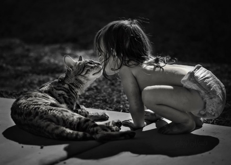 Illustration de l'article : Les plus beaux moments de complicité entre des chats et des enfants immortalisés à travers 18 sublimes photos