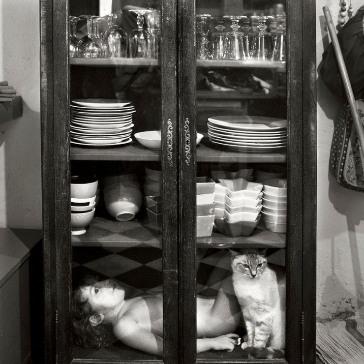 Illustration de l'article : Les plus beaux moments de complicité entre des chats et des enfants immortalisés à travers 18 sublimes photos