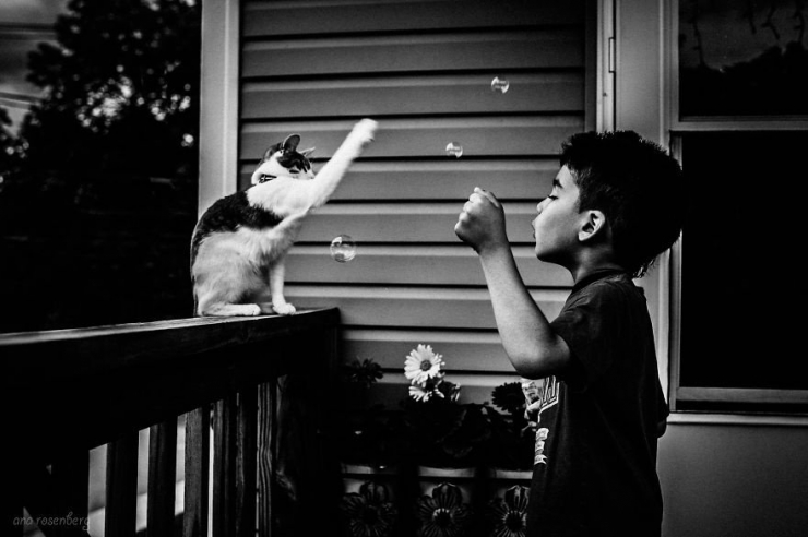 Illustration de l'article : Les plus beaux moments de complicité entre des chats et des enfants immortalisés à travers 18 sublimes photos