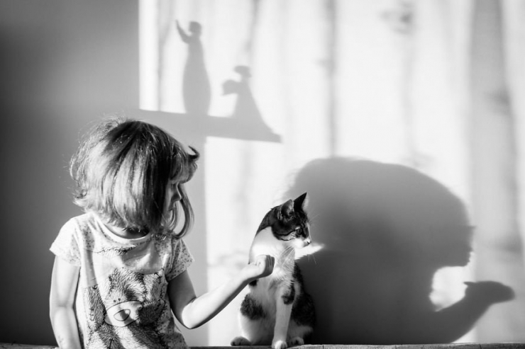 Illustration de l'article : Les plus beaux moments de complicité entre des chats et des enfants immortalisés à travers 18 sublimes photos
