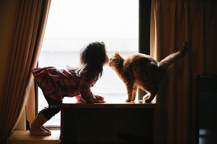 Illustration de l'article : Les plus beaux moments de complicité entre des chats et des enfants immortalisés à travers 18 sublimes photos