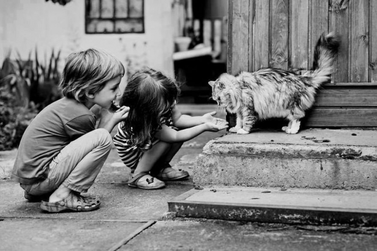 Illustration de l'article : Les plus beaux moments de complicité entre des chats et des enfants immortalisés à travers 18 sublimes photos