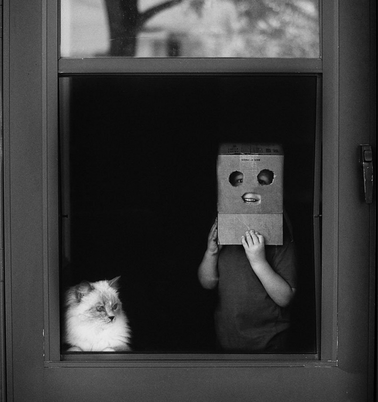 Illustration de l'article : Les plus beaux moments de complicité entre des chats et des enfants immortalisés à travers 18 sublimes photos