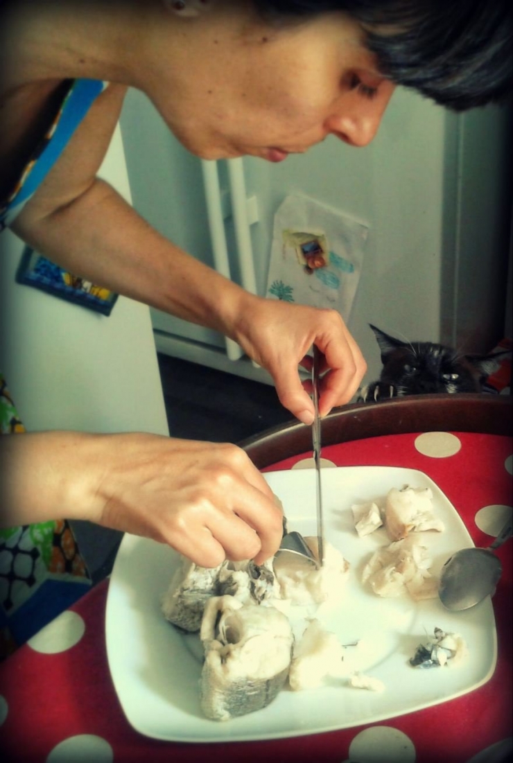 Illustration de l'article : 15 chats chopés la main dans le sac