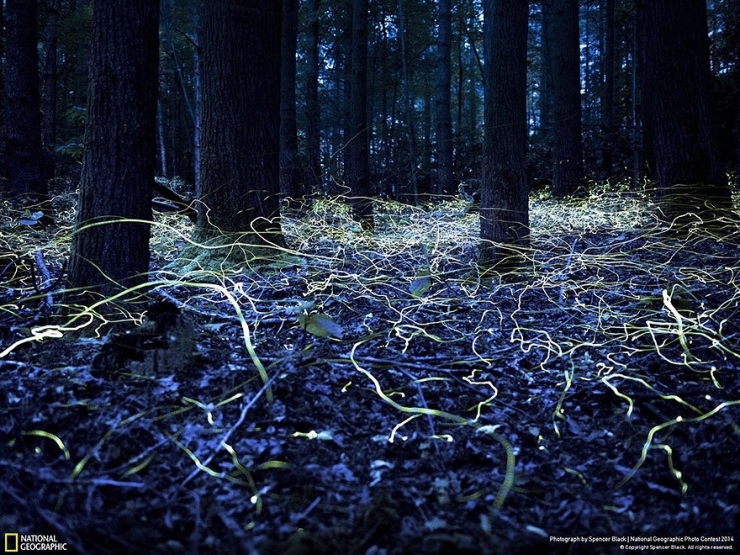 Illustration de l'article : 18 exceptionnelles photos participant au National Geographic Photo Contest 2014