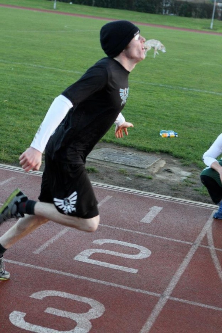 Illustration de l'article : Ces 30 chiens photographiés au bon endroit au bon moment...