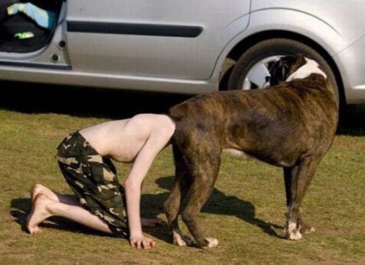 Illustration de l'article : Ces 30 chiens photographiés au bon endroit au bon moment...