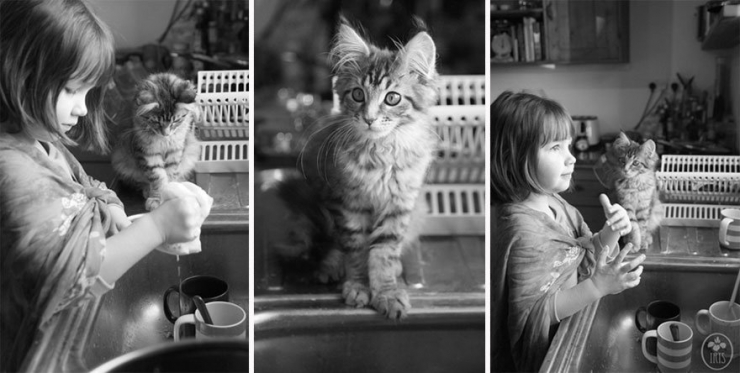Illustration de l'article : L'émouvante complicité entre une petite fille autiste et son chat en 15 photos