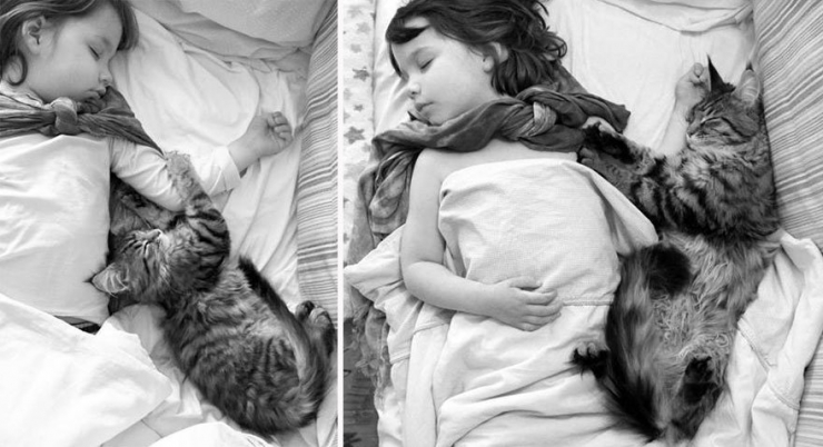Illustration de l'article : L'émouvante complicité entre une petite fille autiste et son chat en 15 photos