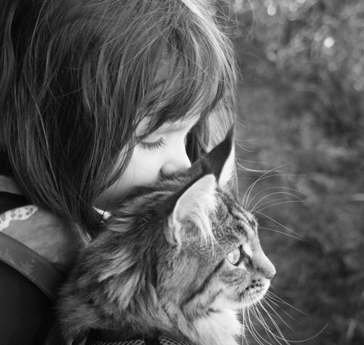Illustration de l'article : L'émouvante complicité entre une petite fille autiste et son chat en 15 photos