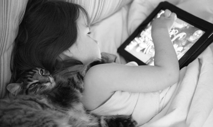 Illustration de l'article : L'émouvante complicité entre une petite fille autiste et son chat en 15 photos