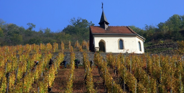 Illustration de l'article : 12 sublimes domaines viticoles &agrave; travers le monde