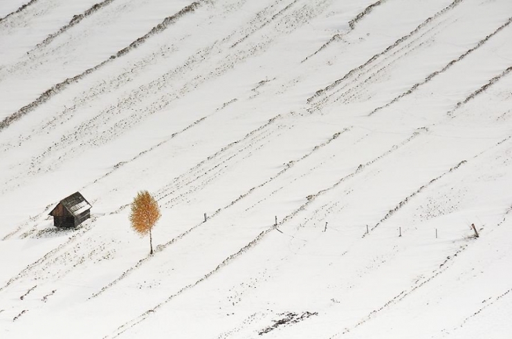 Illustration de l'article : 16 maisons et cabanes isol&eacute;es, propices au calme et &agrave; l'&eacute;vasion