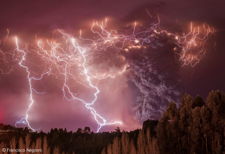 Illustration de l'article : Wildlife Photographer of the Year : les 10 photos les plus saisissantes de l'édition 2014