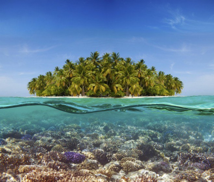 Illustration de l'article : Amateurs de plong&eacute;e, voici 12 spots d'exception &agrave; travers la plan&egrave;te