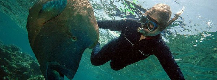 Illustration de l'article : Amateurs de plong&eacute;e, voici 12 spots d'exception &agrave; travers la plan&egrave;te