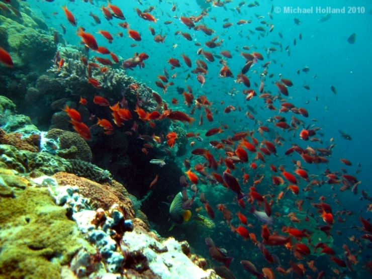 Illustration de l'article : Amateurs de plong&eacute;e, voici 12 spots d'exception &agrave; travers la plan&egrave;te