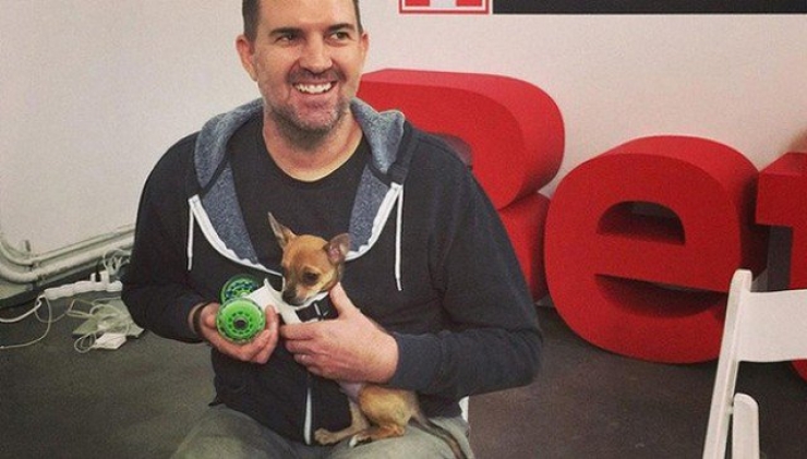 Illustration de l'article : Tout va comme sur des roulettes pour Turbo Roo, le petit chihuahua infirme