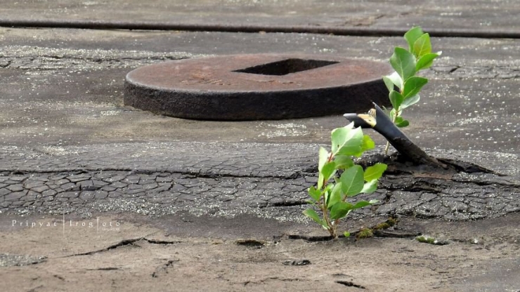 Illustration de l'article : 12 photos d'une ville fant&ocirc;me d'Ukraine