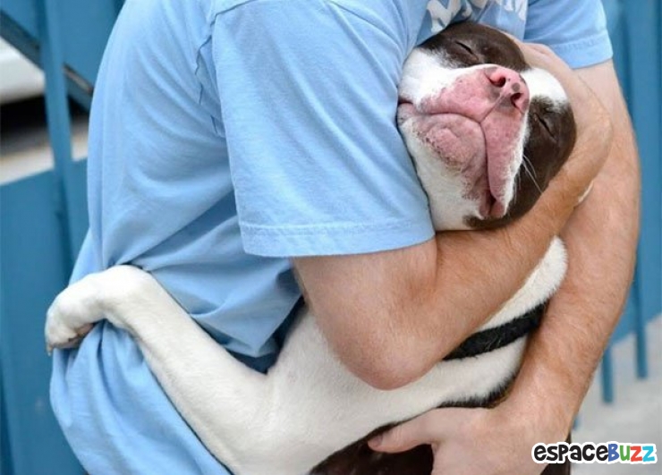 Illustration de l'article : 15 magnifiques photos de tendresse entre des chiens et leurs maîtres