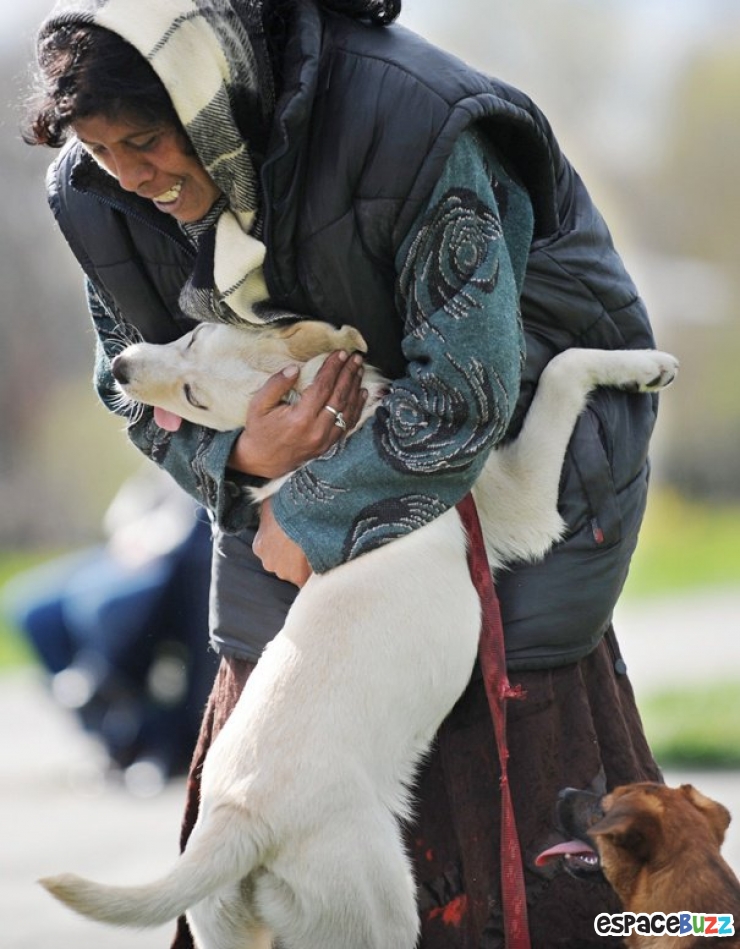 Illustration de l'article : 15 magnifiques photos de tendresse entre des chiens et leurs maîtres