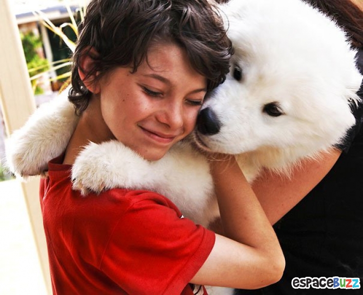 Illustration de l'article : 15 magnifiques photos de tendresse entre des chiens et leurs maîtres