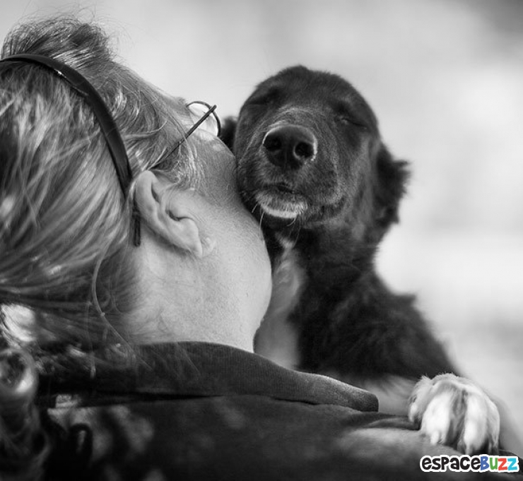 Illustration de l'article : 15 magnifiques photos de tendresse entre des chiens et leurs maîtres