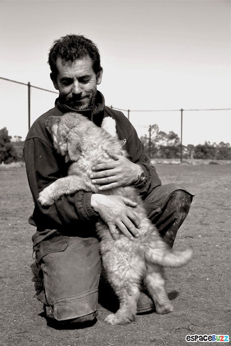 Illustration de l'article : 15 magnifiques photos de tendresse entre des chiens et leurs maîtres