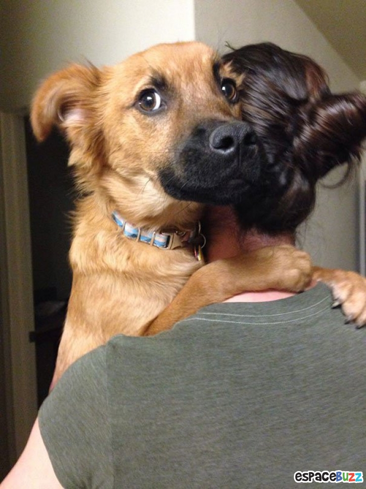 Illustration de l'article : 15 magnifiques photos de tendresse entre des chiens et leurs maîtres