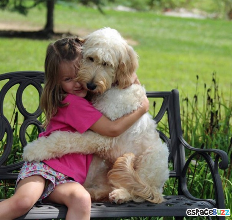 Illustration de l'article : 15 magnifiques photos de tendresse entre des chiens et leurs maîtres
