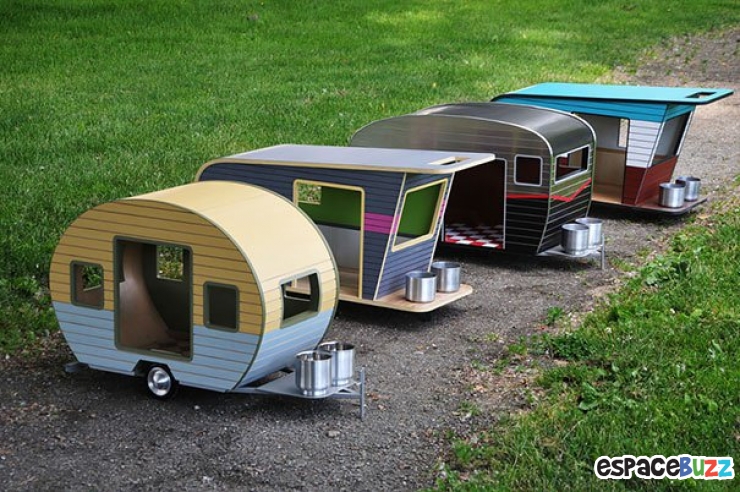 Illustration de l'article : 14 cadeaux sympas à offrir à votre chien