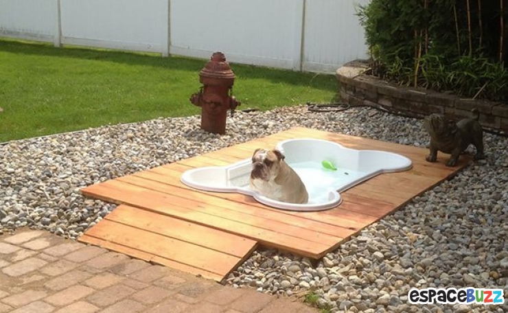 Illustration de l'article : 14 cadeaux sympas à offrir à votre chien