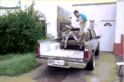 Illustration de l'article : 10 cascades non calcul&eacute;es, mais parfaites