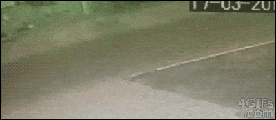 Illustration de l'article : 10 cascades non calcul&eacute;es, mais parfaites