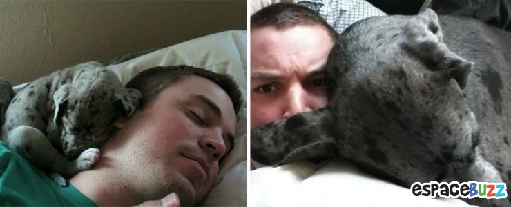 Illustration de l'article : 8 photos de duos chiens/maîtres qui ont grandi côte à côte